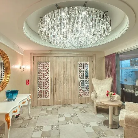 Ideal Pearl - Adult Only